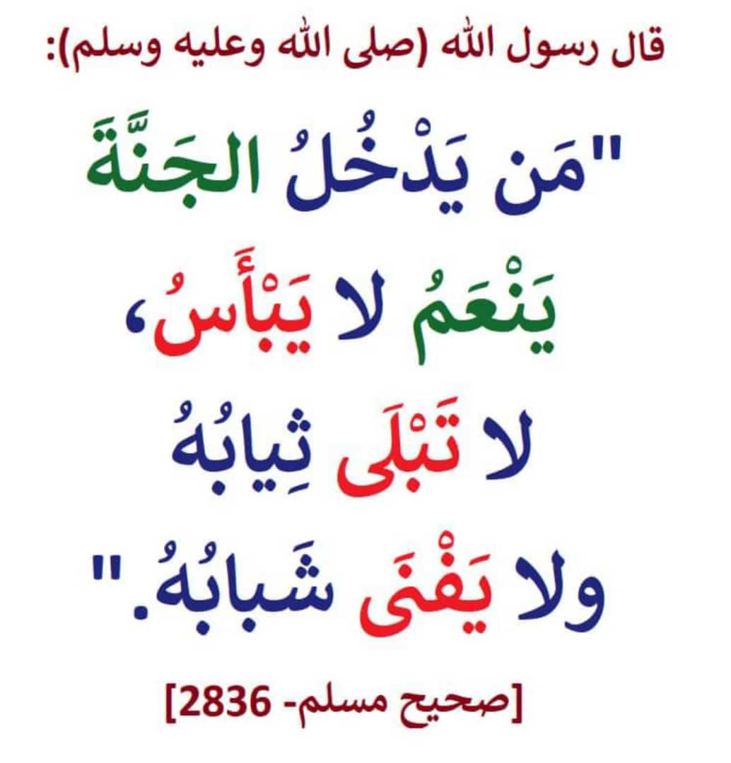 HamsaSoftware tweet picture