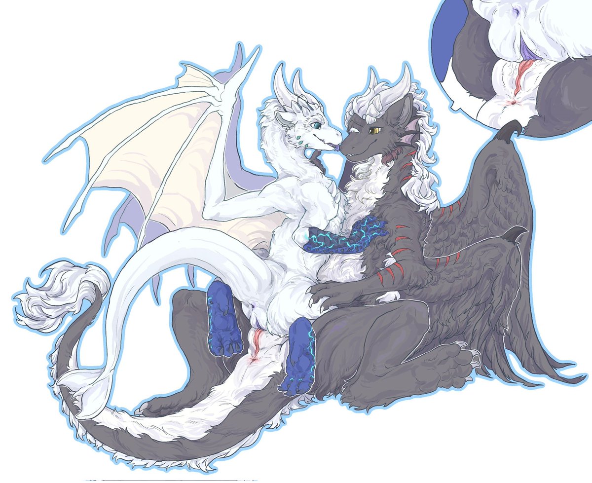 popdragon tweet media