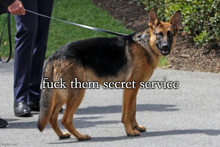 Jguido14's tweet image. #TeamCommander