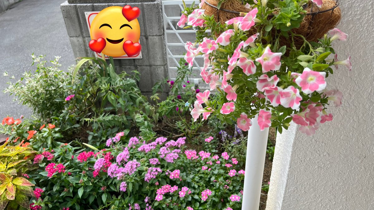 natsu_gardening tweet picture