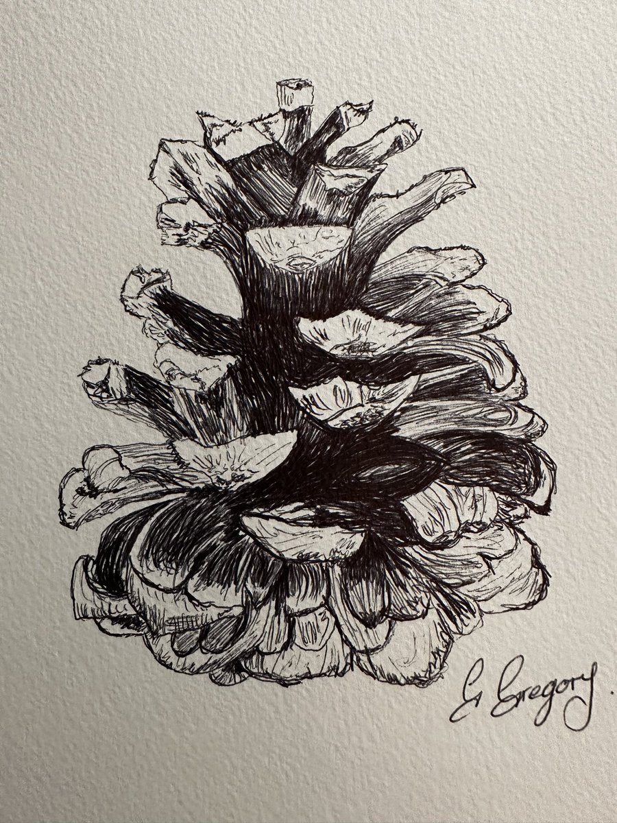 Good morning 😊
Wishing everyone a good day 😊
Thought I may as well stay on the ink drawing theme this week.
Having a sleepless night on Monday into Tuesday I was able to created this pine cone ink drawing.
When I can’t sleep, art ands crafts helps to relax me.