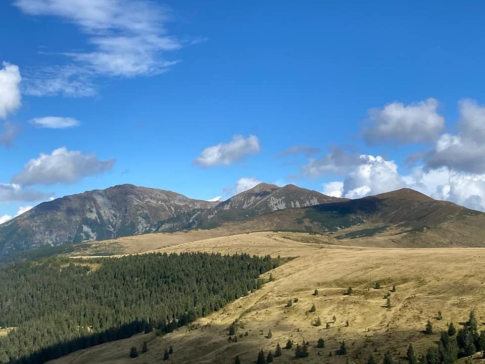 RNP_Romsilva's tweet photo. Încet, dar sigur, minunata toamnă își intră în drepturi ... vă lăsăm câteva fotografii realziate de rangerii de la Parcul National Muntii Rodnei cu speranța să vă îmbie la drumeție 

📷 New photos from Rodnei Mountains National Park  #România #Rodna #MunțiiRodnei #Silvicultură https://t.co/bltRiA5Cye