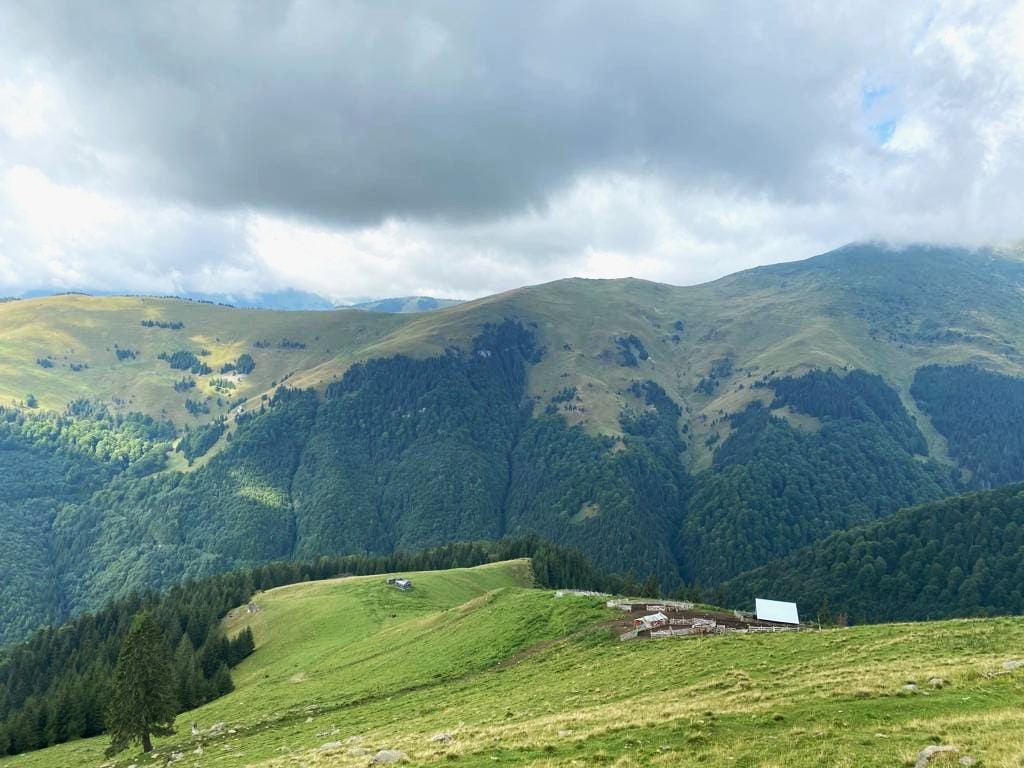 RNP_Romsilva's tweet photo. Încet, dar sigur, minunata toamnă își intră în drepturi ... vă lăsăm câteva fotografii realziate de rangerii de la Parcul National Muntii Rodnei cu speranța să vă îmbie la drumeție 

📷 New photos from Rodnei Mountains National Park  #România #Rodna #MunțiiRodnei #Silvicultură https://t.co/bltRiA5Cye