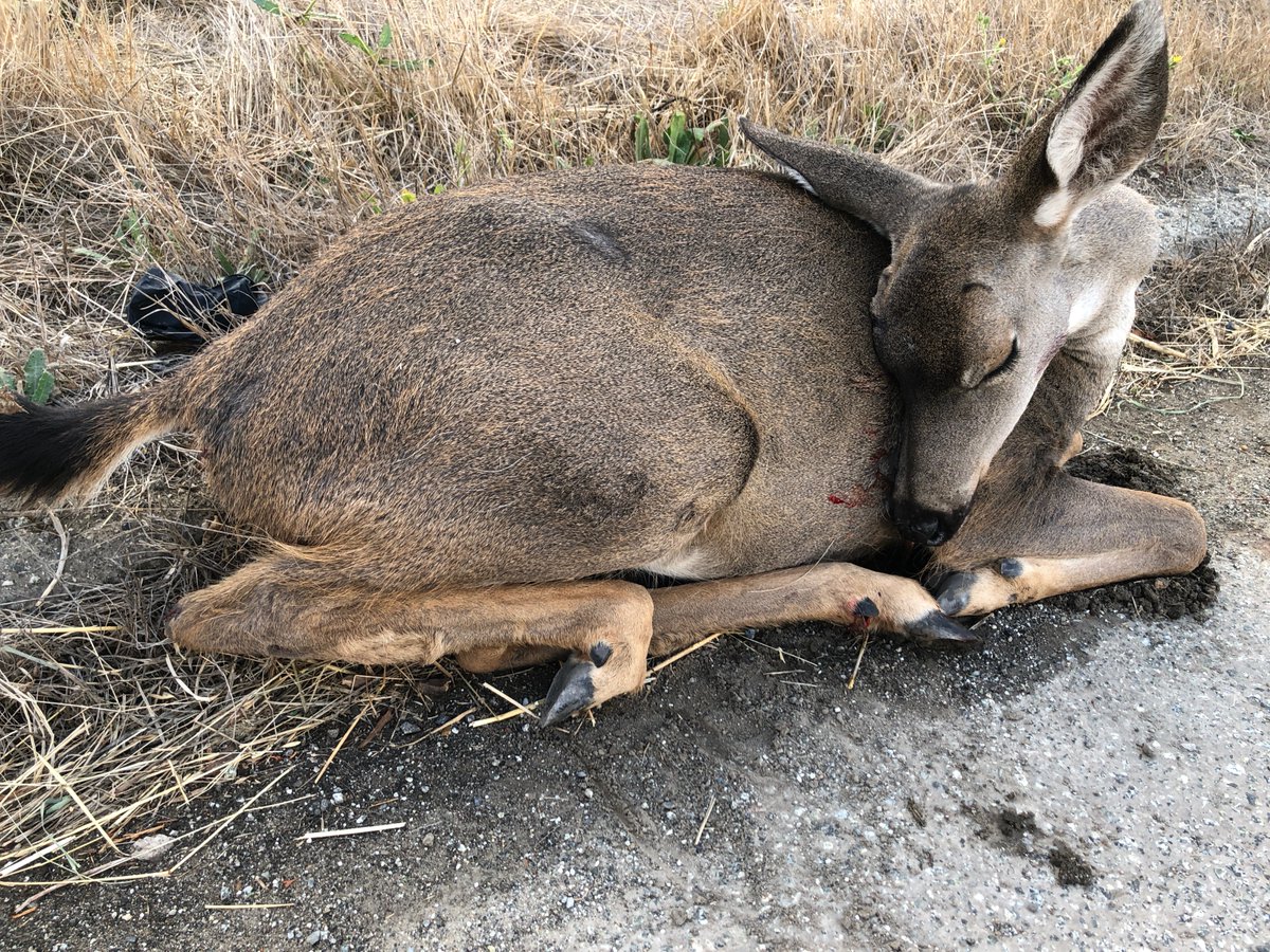 Paul Saffo tweet media