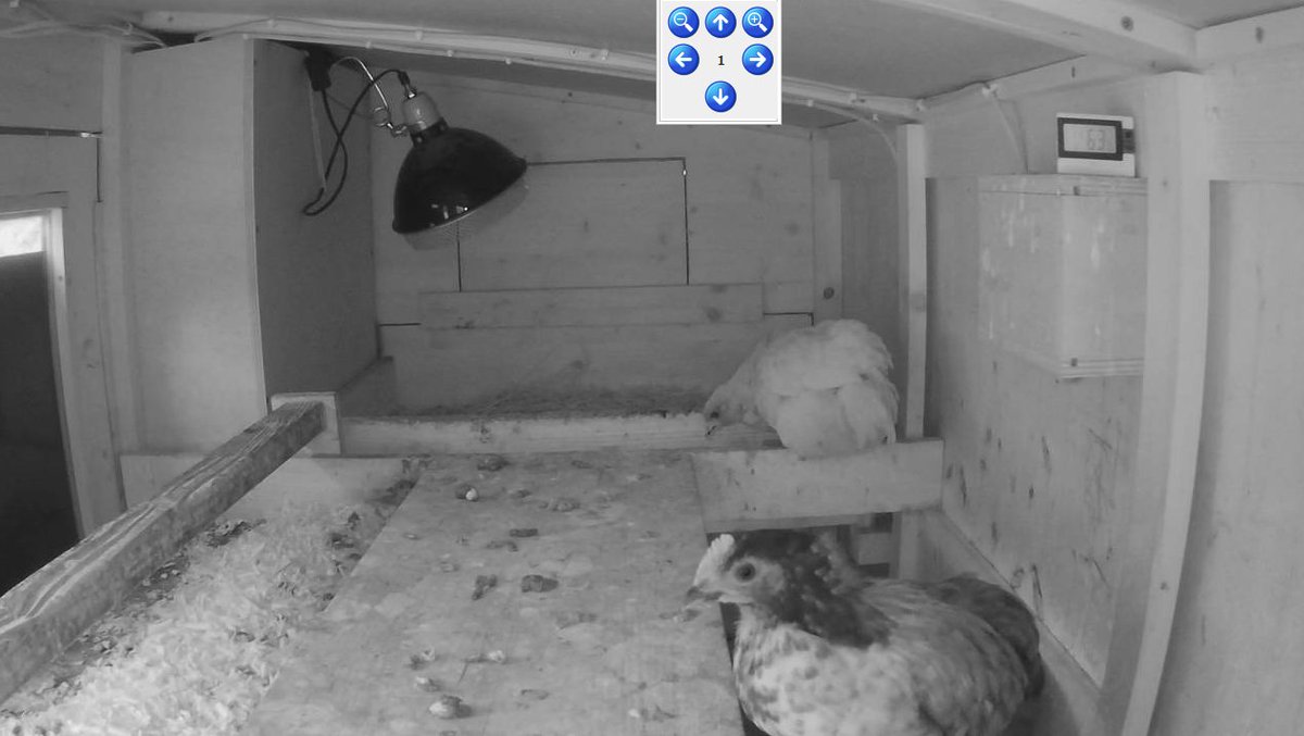 vxunderground's tweet photo. Found the ChickenTV exposed on Shodan. ChickenTV is the best TV https://t.co/T8kj7S2ERf