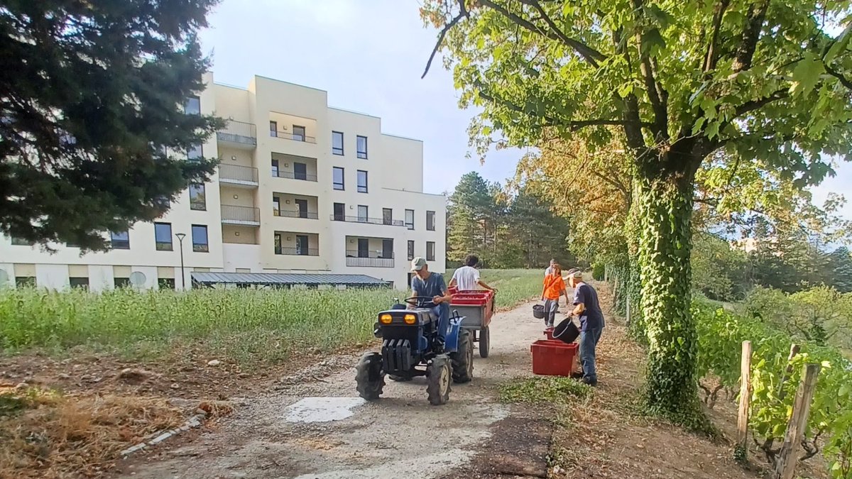 LesBruyeresAsso's tweet photo. Vous connaissez les vendanges 🍇 au Val Foron ? 

Jetez un oeil ici. ▶️ https://t.co/Rjl4ds5b1J

#LBAsso #EHPAD #BienVieillir https://t.co/wrQO3Y2y3R