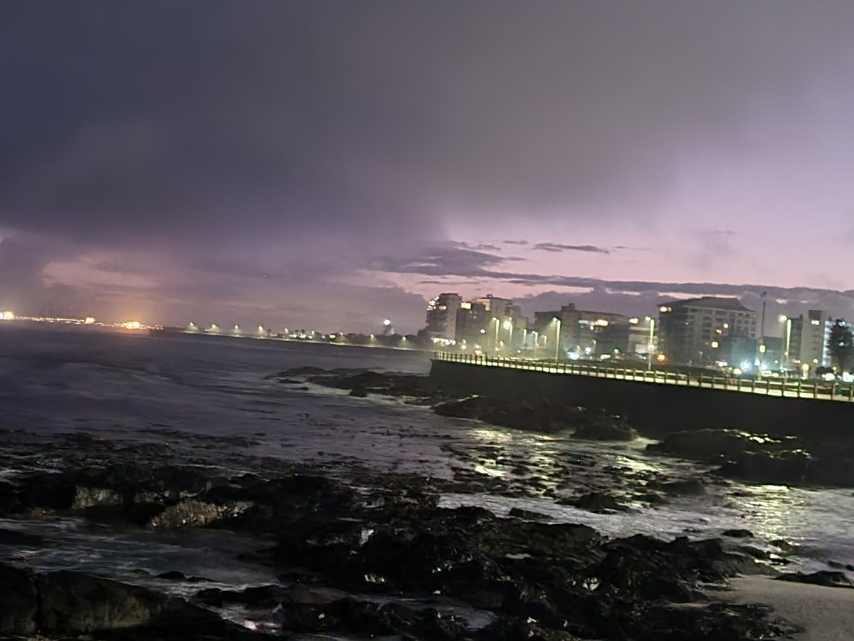 Traci Freeman tweet media