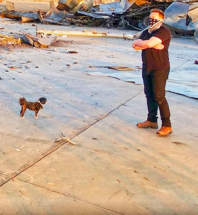 marvinerc20's tweet photo. Elon's little Doge
$MARVIN #MARVIN https://t.co/1k2cW24jh2