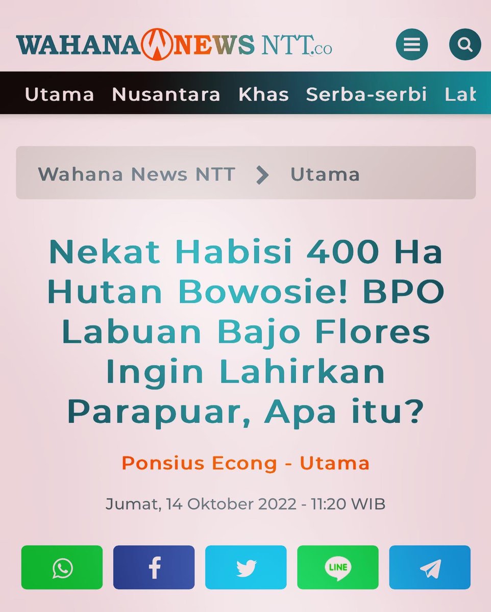 Mulai dari presiden, menteri hingga investor, inilah pelaku pengrusakan hutan dengan dalih pembangunan pariwisata super premium di Flores, NTT.

* Presiden @jokowi keluarkan Perpres 32/2018, merombak 400 ha hutan di puncak kota Labuan Bajo jadi lokasi hotel2 dan resort.

*…