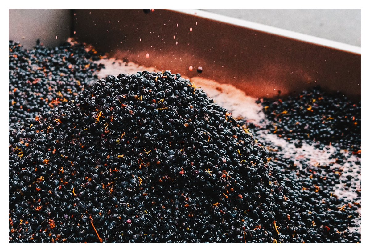 tiare bowman✨ tweet media