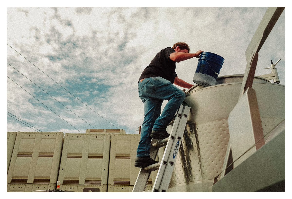 tiare bowman✨ tweet media