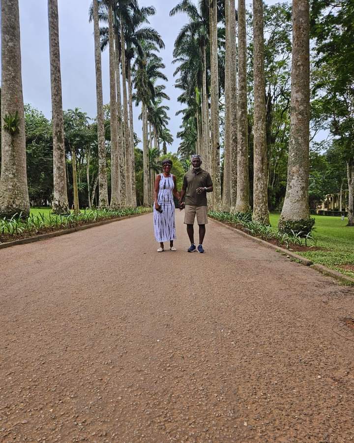 impact_script's tweet photo. ABURI BOTANICAL GARDENS, GHANA
Aburi Botanical Gardens, also known simply as Aburi Gardens, is a renowned botanical garden located in the town of Aburi in the Akuapim South Municipal District of Ghana. Established in 1890 during British colonial rule, https://t.co/OQ0QMCWZNf