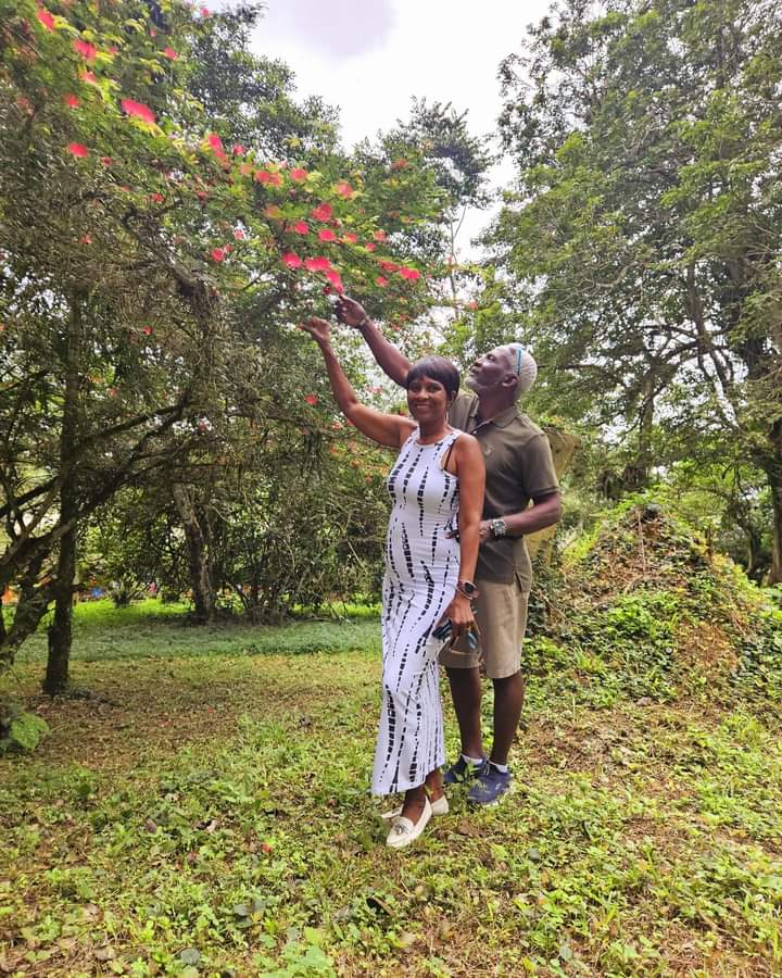 impact_script's tweet photo. ABURI BOTANICAL GARDENS, GHANA
Aburi Botanical Gardens, also known simply as Aburi Gardens, is a renowned botanical garden located in the town of Aburi in the Akuapim South Municipal District of Ghana. Established in 1890 during British colonial rule, https://t.co/OQ0QMCWZNf