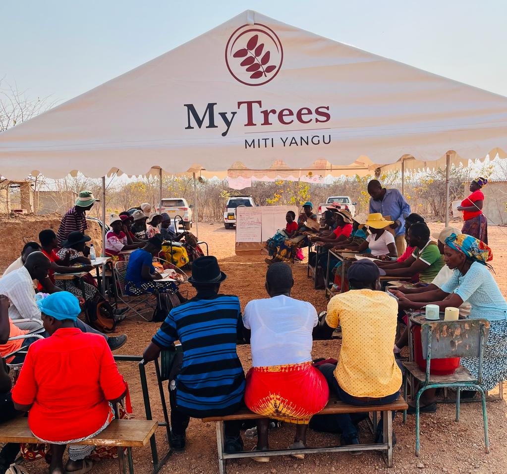 Dutch Embassy Harare 🇳🇱 tweet media