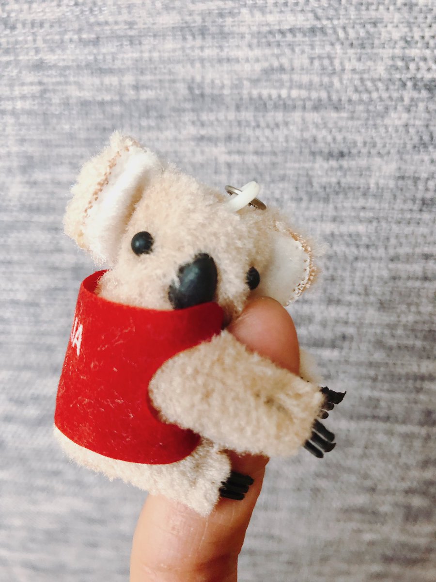 謎のミステリー便届きました
盛りだくさんで開けるのワクワクしたよ😄
確かあれはXmas…
ハズレくじの景品がようやく私の元へ😅
とりあえず指にはめるよねw