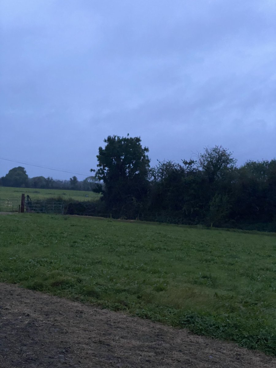 Run2thetop_'s tweet photo. No run today 🏃‍♀️

I was hoping to get out before #StormAgnes landed

But she got here early ☔️ https://t.co/b23r0evlJb