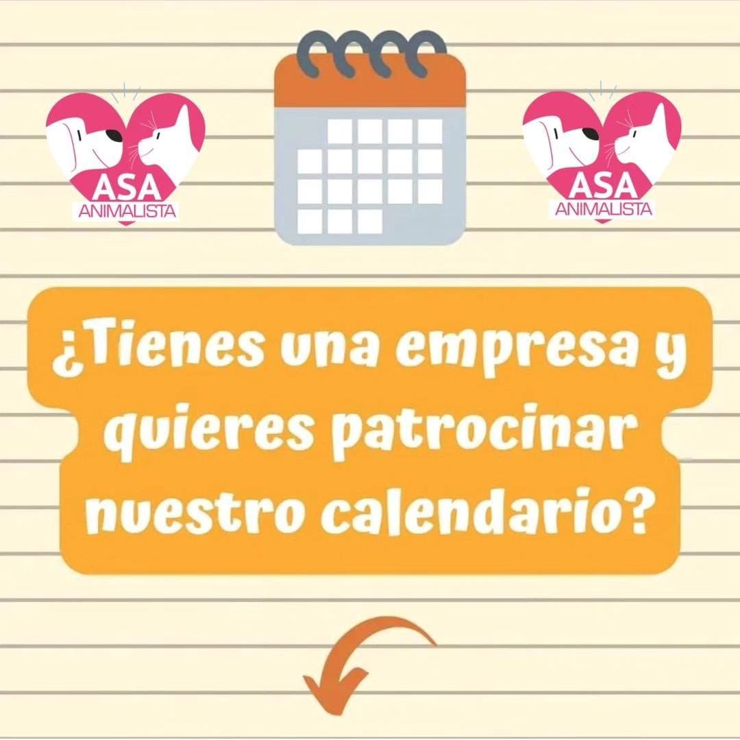 ‼️¿TIENES UNA EMPRESA?‼️
😁¿QUIERES PATROCINAR NUESTRO CALENDARIO SOLIDARIO?😁
Si tienes una empresa y quieres colaborar, ¡ahora es el momento!

Ya tenemos en marcha nuestro calendario solidario, solo nos falta encontrar empresas solidarias que nos den un empujón. ¿Te animas? 💪🏻