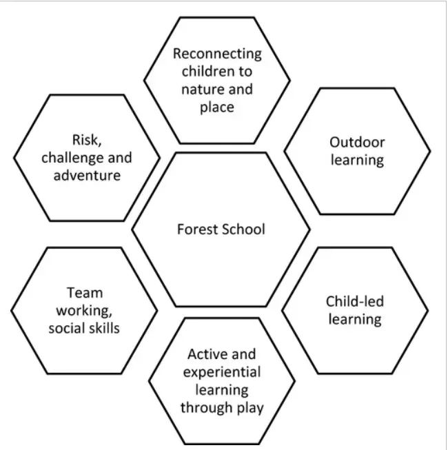 TreeHouseLearn's tweet photo. #ForestSchool adopts a child led learning approach however it also fosters lots of other developmental &amp; social skills too 💚 https://t.co/YT32EZQzC8 #OutdoorEd #Creative #Earlyyears #Outdoorfun #Kingston #Richmond #Richmondmums #kingstonmums #Barnes #treehouselearning https://t.co/XIoh3OCdWG