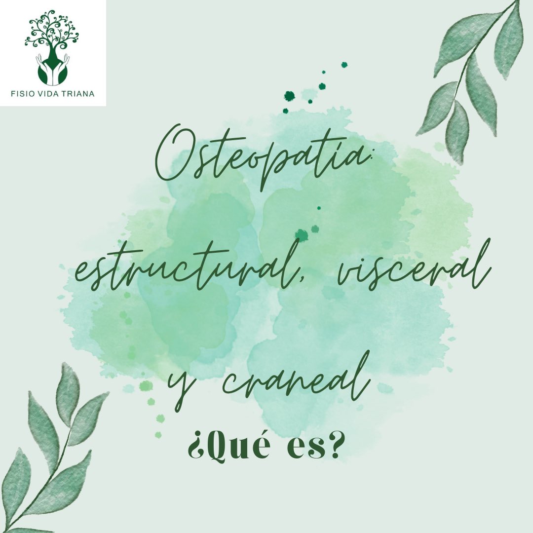 FISIOVIDATRIANA's tweet photo. Conoce nuestros tratamientos!!!!
Más info en redes sociales!!! https://t.co/zor6vAoWzl