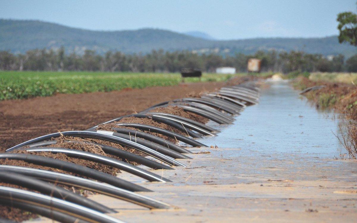 📷PHOTO CALL FOR 2024 WATER CALENDAR📷
Got a cracker photo of a beautifully irrigated crop in flower?  What about a photo of Mum starting the siphons after Christmas dinner? We'd love to see it!
📷Send submissions in by October 15 to megan.woodward@crdc.com.au for consideration!
