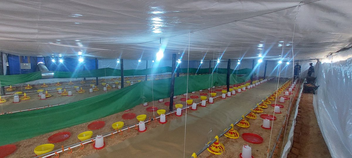 Preparation for placement!

Prepare well, receive well, rear well and harvest well....