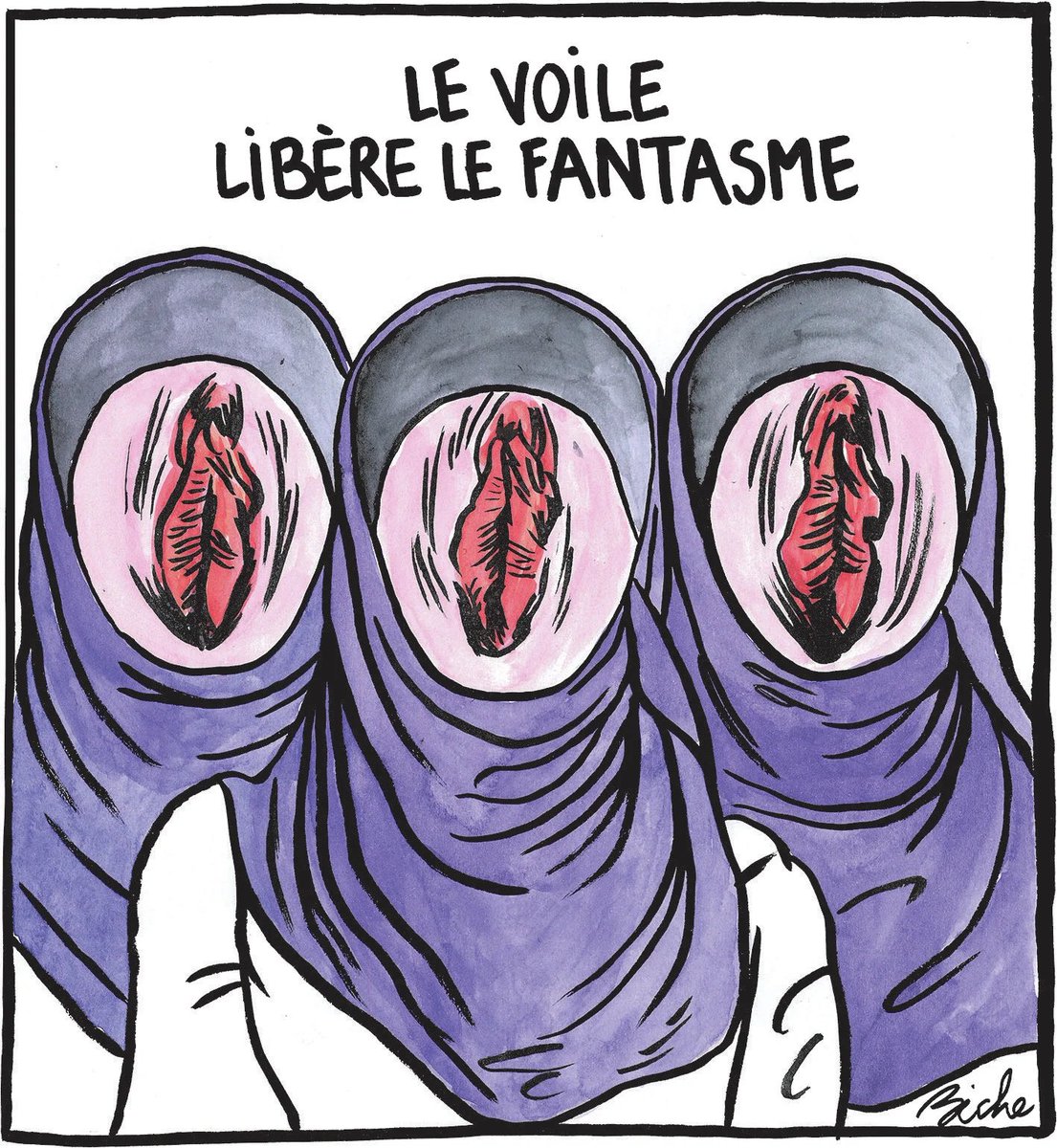 Anne_deProvence's tweet photo. Mon point de vue très subjectif sur le bras armé de l’islamisme que tout oppose au sport, à l’élégance, au respect de la femme et à la France tout simplement !

En image !

#charliehebdo 
#ONU 
#Voile 
#Francelibre https://t.co/Q9CqKleYWV