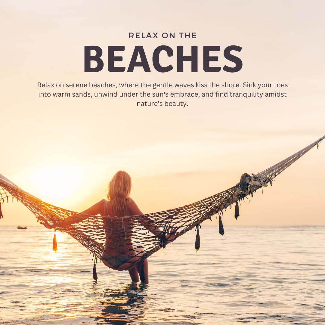 Novotelholidays's tweet photo. Dreaming of paradise?  Discover the top 3 reasons why the Maldives  #MaldivesMagic #IslandGetaway #TravelGoals
More Info: +91-7303632164
#NovotelHolidaysInn #novotel #maldivestrip #BeachEscape #sharkswim #tourism #streetfood #cityphotography #TravelGram #HotelLife #Hospitality https://t.co/ke1mbpb4Tw