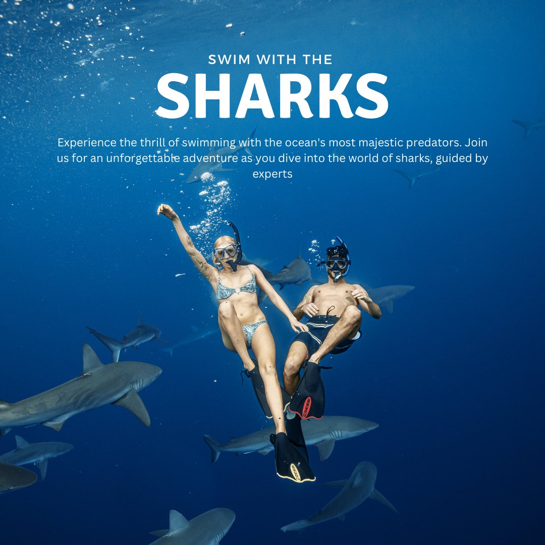 Novotelholidays's tweet photo. Dreaming of paradise?  Discover the top 3 reasons why the Maldives  #MaldivesMagic #IslandGetaway #TravelGoals
More Info: +91-7303632164
#NovotelHolidaysInn #novotel #maldivestrip #BeachEscape #sharkswim #tourism #streetfood #cityphotography #TravelGram #HotelLife #Hospitality https://t.co/ke1mbpb4Tw