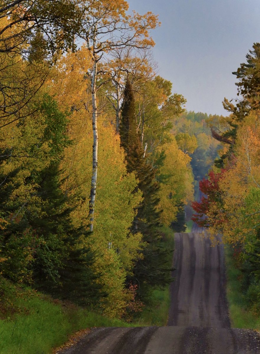 TheWildNorthTV's tweet photo. On the road again 🍂 https://t.co/wm5ktTBv76