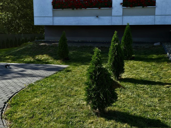 Na zdjęciu są trzy koty. Kto je odnajdzie, tego czeka wspaniała środa.😛🤗 🍦🍦🍦 Kto znalazł, daje serduszko<a href="/tag/cloutmma"class="tags"><span>#cloutmma</span></a>