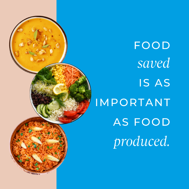 UNEP's tweet photo. This #FLWDay, remember: wasted food means wasted water, land, energy, labour, and capital.

With collective action from public and private sectors, along with everyday consumers, we can #StopFoodLossWaste and save precious resources. See how ↓