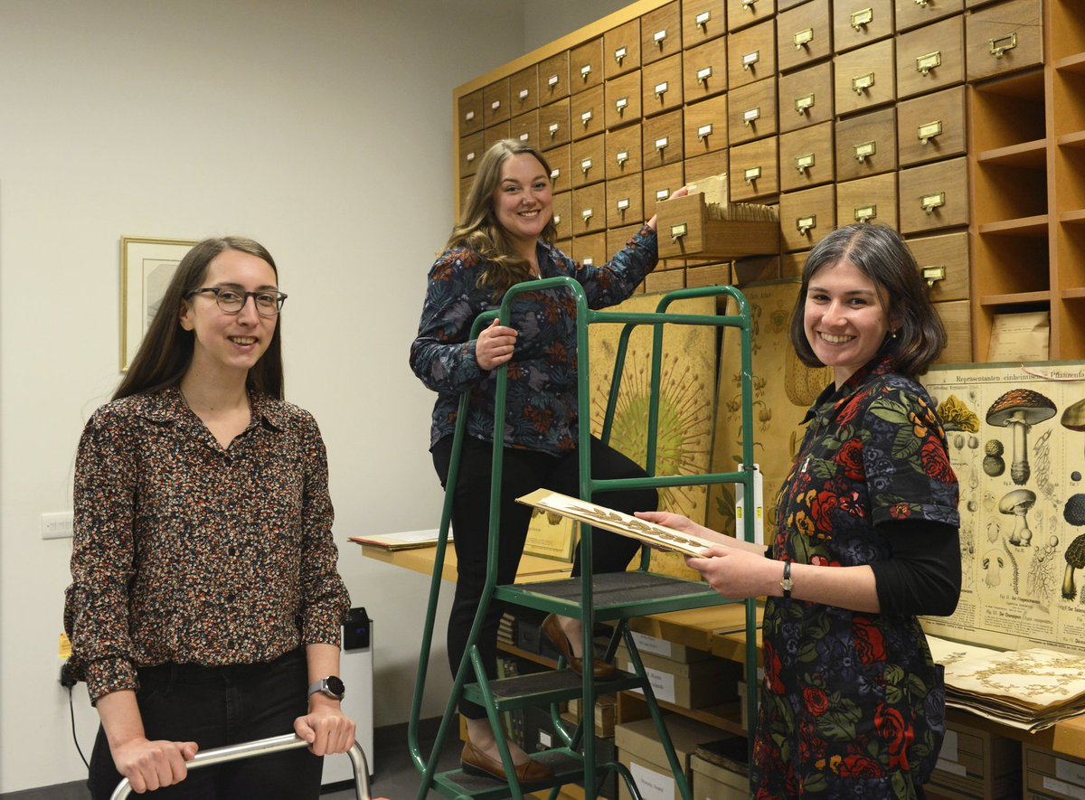 📢🌿 New job at Cambridge University #Herbarium! 🌿📢 

Could you be our new Digital Engagement Coordinator? 🌾

You'll work on managing online volunteers, website &amp; social media, specimen imaging, database entry, &amp; more! 🌺

👇 More info &amp; apply here 👇

jobs.cam.ac.uk/job/43080/