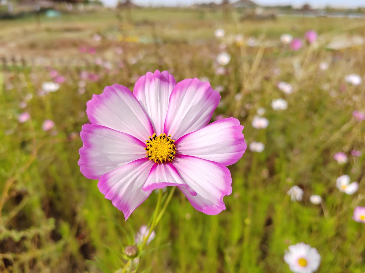 mystoryyy333's tweet image. Joanna👇