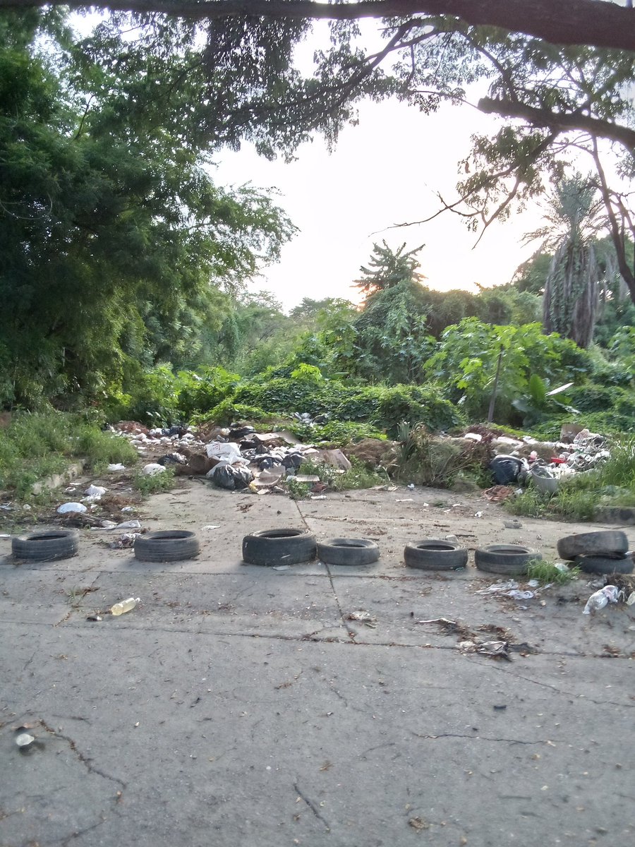 leonardolohe's tweet photo. Leonardo López
Antiguo parque del Sur de mata redonda usado como depósito de basura y además la queman. El aseo nunca pasa solo llega hasta la entrada de araguama contry. 
@mariasan8 https://t.co/J8vHQdMk14