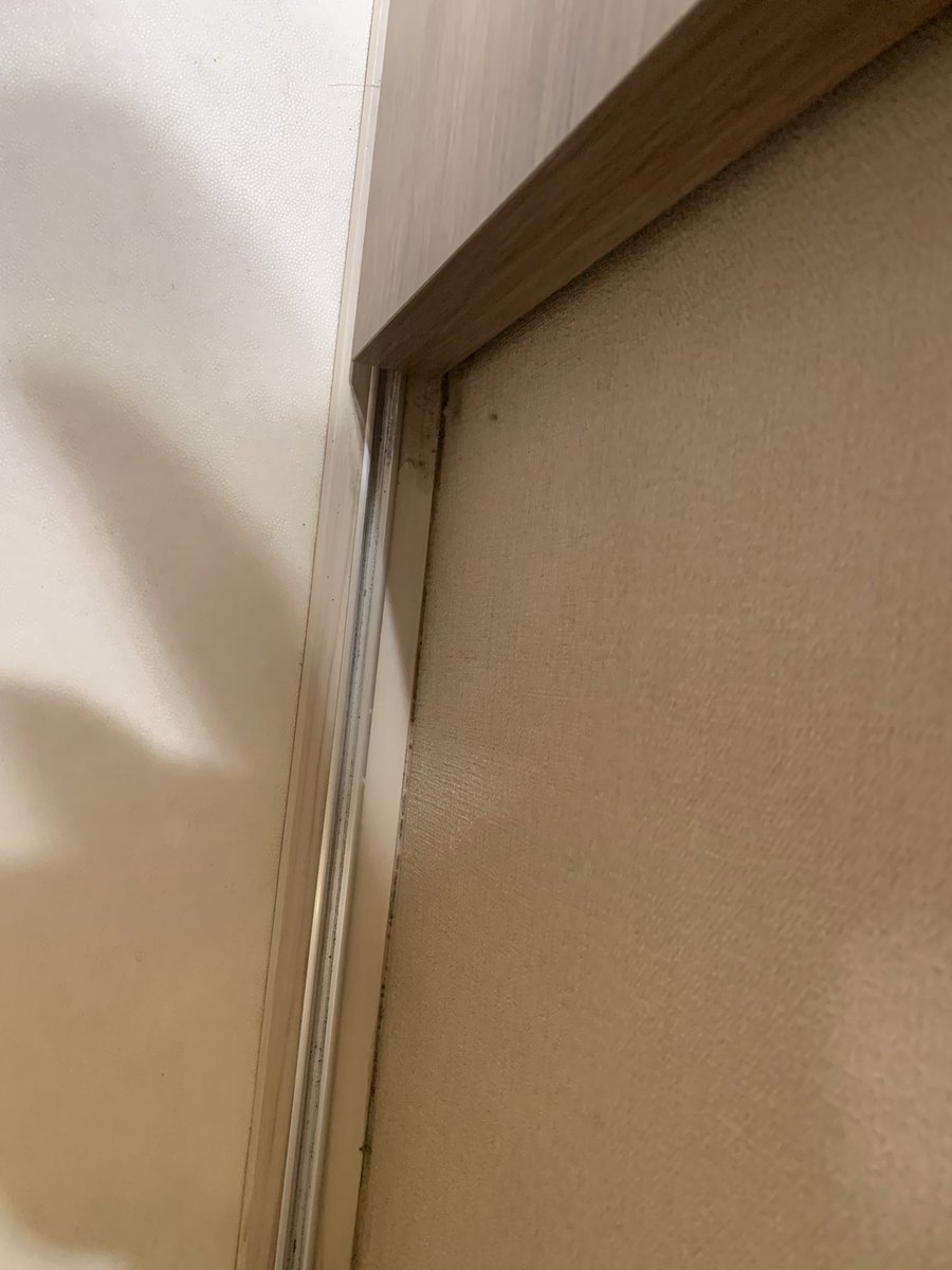 homenewmama's tweet photo. 引き戸の後ろをお掃除。レールってすぐに汚くなる、、、扉と壁の間にも埃が沢山💦
コーキングのとこはカビてるのかな⁇埃が詰まってるだけ？
ハイターしたら壁紙が色落ちするよね。
悩む😕
#ビフォーアフター #洗面所掃除 #床掃除  #大掃除 #埃掃除 #スキマ掃除 #中古住宅 https://t.co/IelijOuU9Z