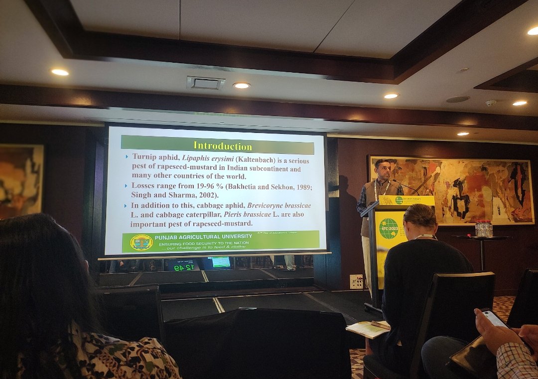 sarwanent's tweet photo. Had the privilege of delivering a talk on my work on #Brassica #entomology at #ircsydney2023 and interaction with fellow scientists from across the globe. It's been my fourth Congress in the series. Many thanks to #gcirc and #Australian oilseeds federation for partial support https://t.co/J5ANaZ931W