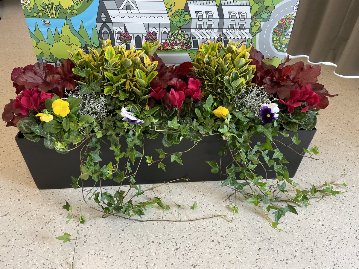 All ready for the awards #bloom  @RHSBloom