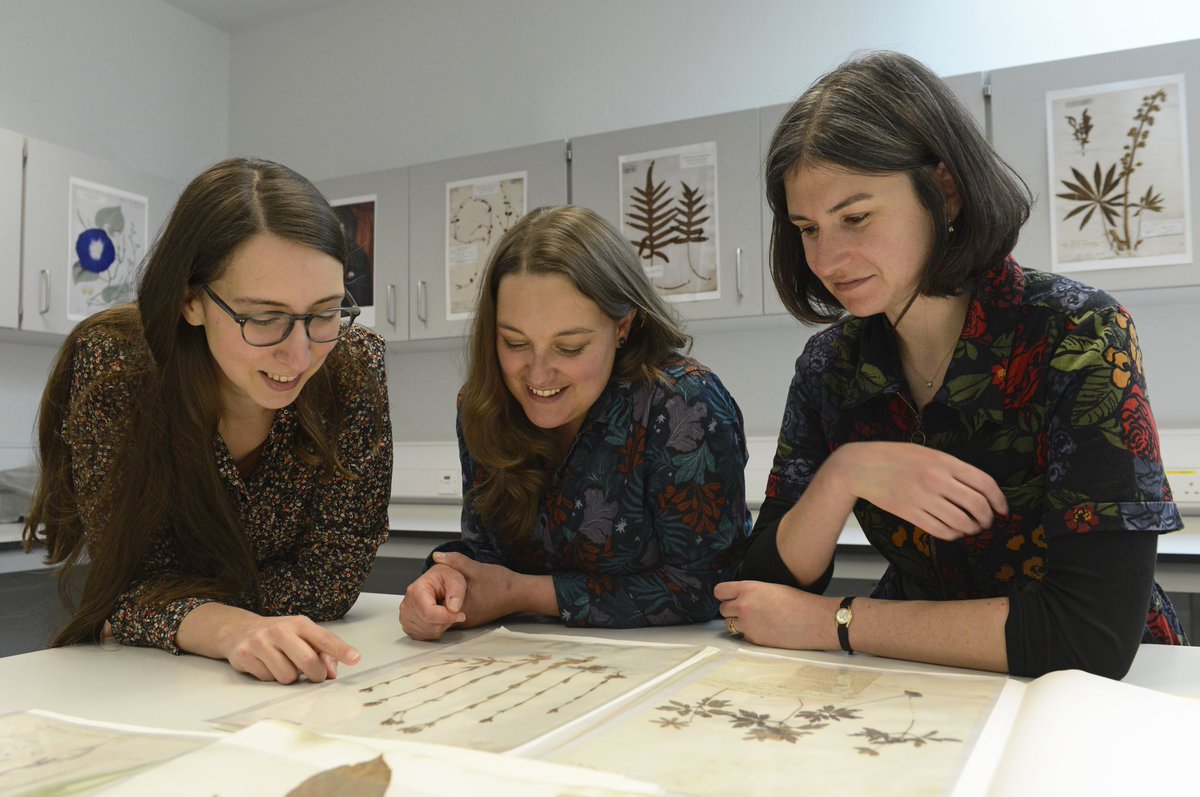 Cambridge University Herbarium (CGE) (@cuherb) on Twitter photo 📢🌿 New job at Cambridge University #Herbarium! 🌿📢 
Could you be our new Public Engagement Coordinator? 🌾
You'll work on enhancing our local & regional community outreach & engagement with existing & new audiences! 🌺
👇 More info & apply here 👇
jobs.cam.ac.uk/job/43079/ 📢🌿 New job at Cambridge University #Herbarium! 🌿📢 
Could you be our new Public Engagement Coordinator? 🌾
You'll work on enhancing our local & regional community outreach & engagement with existing & new audiences! 🌺
👇 More info & apply here 👇
jobs.cam.ac.uk/job/43079/
