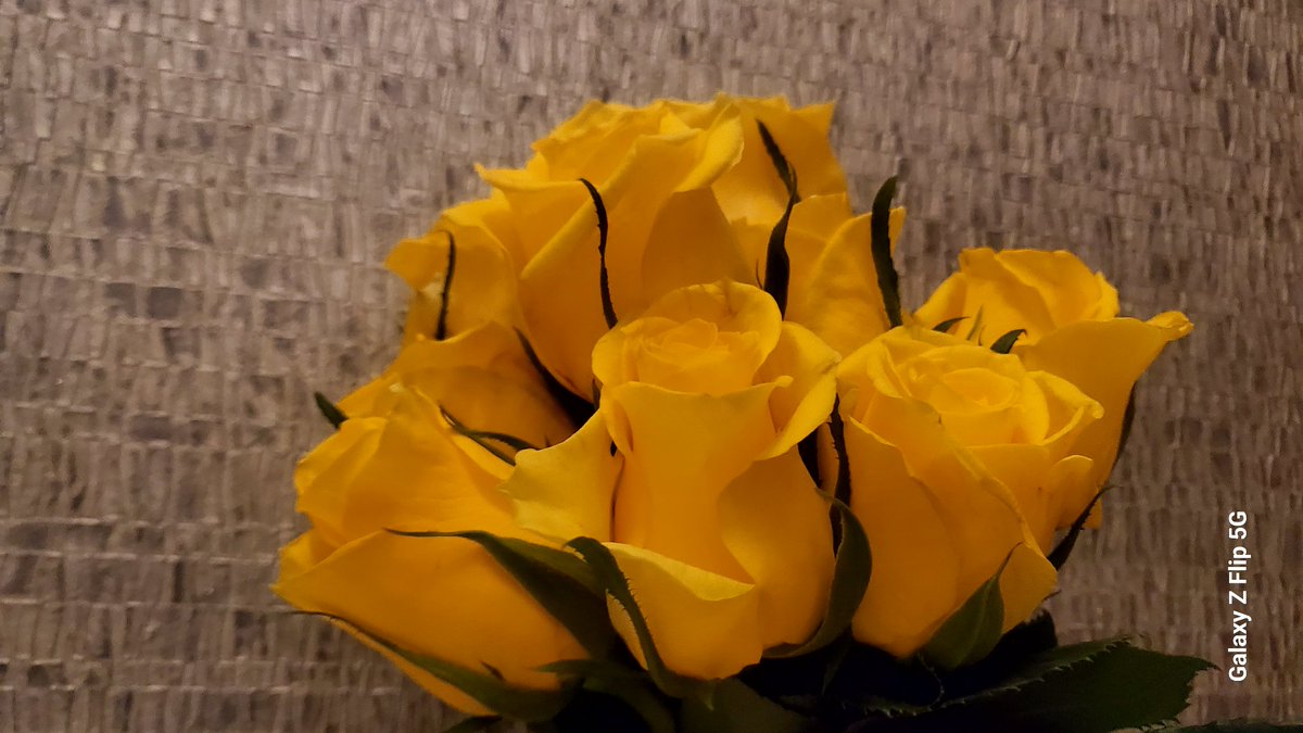 #floral #FlowersOfTwitter #flowerarrangement  #floralarrangements 
Yellow roses to bright up my day ...