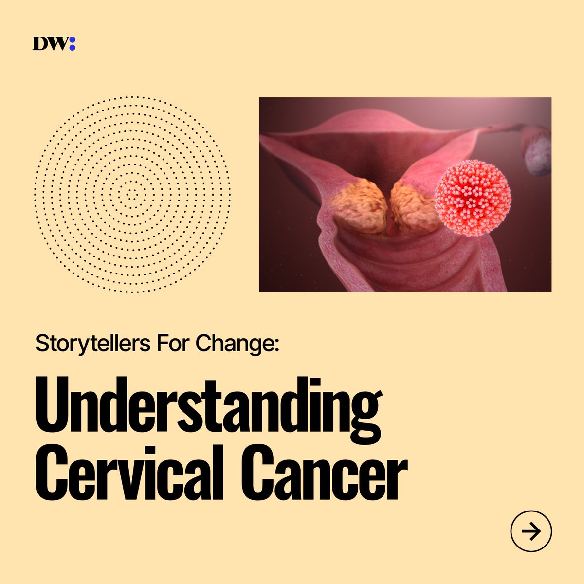 Document Women tweet media