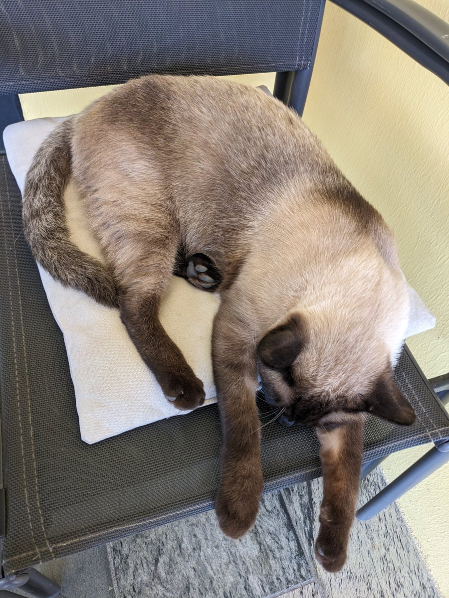 Regardez comme il est fatigué....