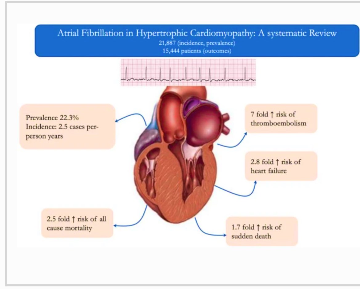 #AtrialFibrillationAwareness @ACCinTouch There is so much to learn! #Afib 💥AFIB in HCM ⚡️Commonest arrhythmia 🔸Poor prognostic factor ⚡️Think beyond CHADS2Vasc 🔸All HCM+AF= OAC ⚡️Beta blockers, amio, RFA, Disopyramide for unstable