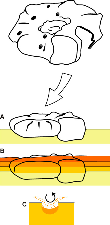 GeolPaleo's tweet photo. 📣📜⚒️ #paperalert

Bite traces of a large, #mosasaur-type(?) vertebrate predator in the lower #Turonian #ammonite #Mammites nodosoides (Schlüter, 1871) from the Czech Republic

🖊️Mazuch et al.    
📖Cretaceous Research
🔗https://t.co/ieWETRMINw
🗝️#Cretaceous #Cephalopods https://t.co/V8imvxOpXt