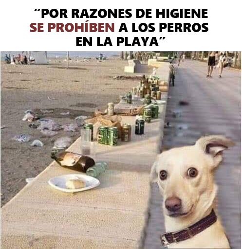 EcoInventos's tweet photo. Se prohiben perros en la playa, por razones de higiene... https://t.co/SVg9yrRFVD
