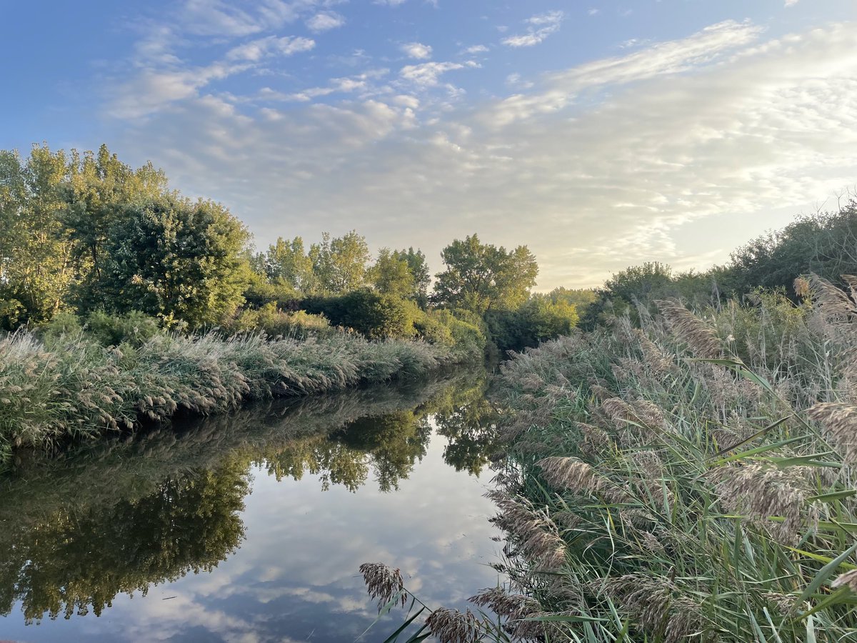 “True self-care is not salt baths and chocolate cake. It’s making the choice to build a life you don’t need to escape from.” ~ Brianna Weist 
#wordsofwisdom #wellnesswednesday