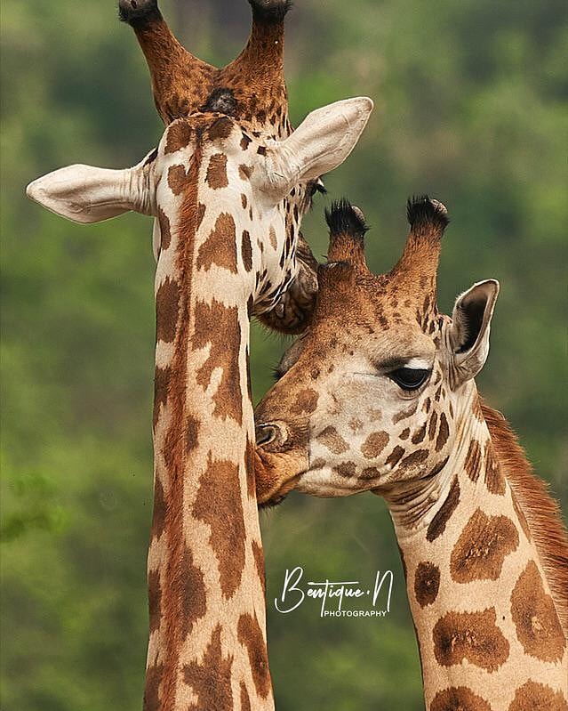 Happy world tourism day from us to you #tourismuganda🇺🇬 #tourism