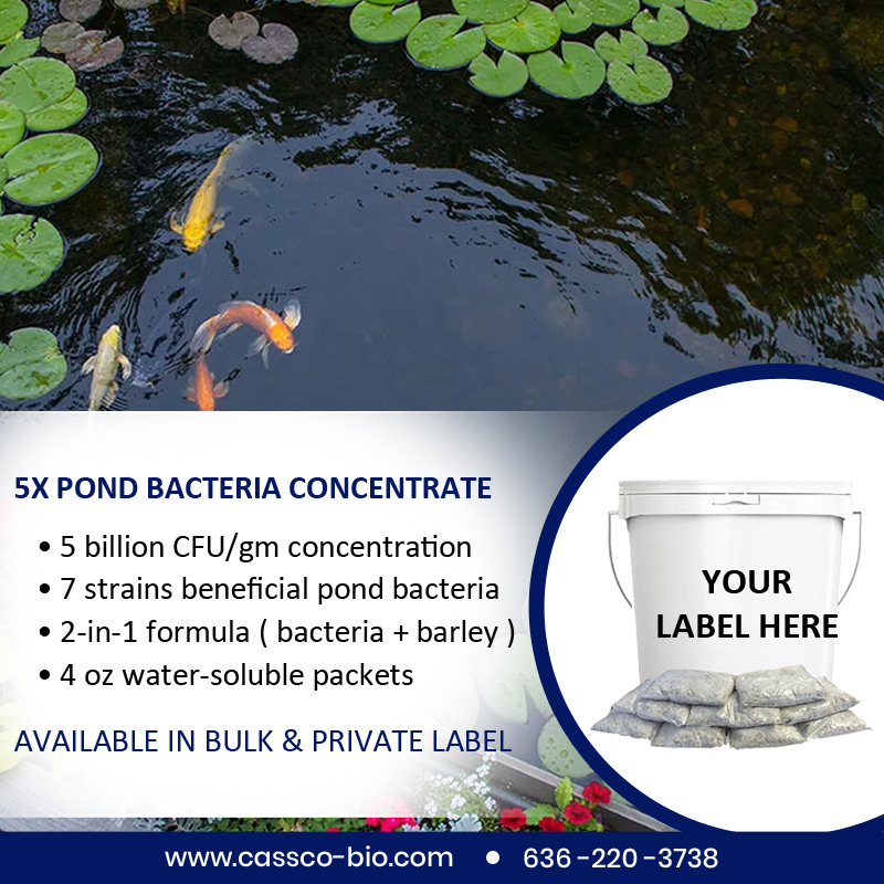 CassCo has been producing & private labeling bacteria products for over 25 years. In this time, we have shipped over 700,000 lbs of bacteria products to over 20 different Countries. #pondsupplies #backyardwaterfall #backyardwaterfeature #waterfeature #spillway #landscapedesign