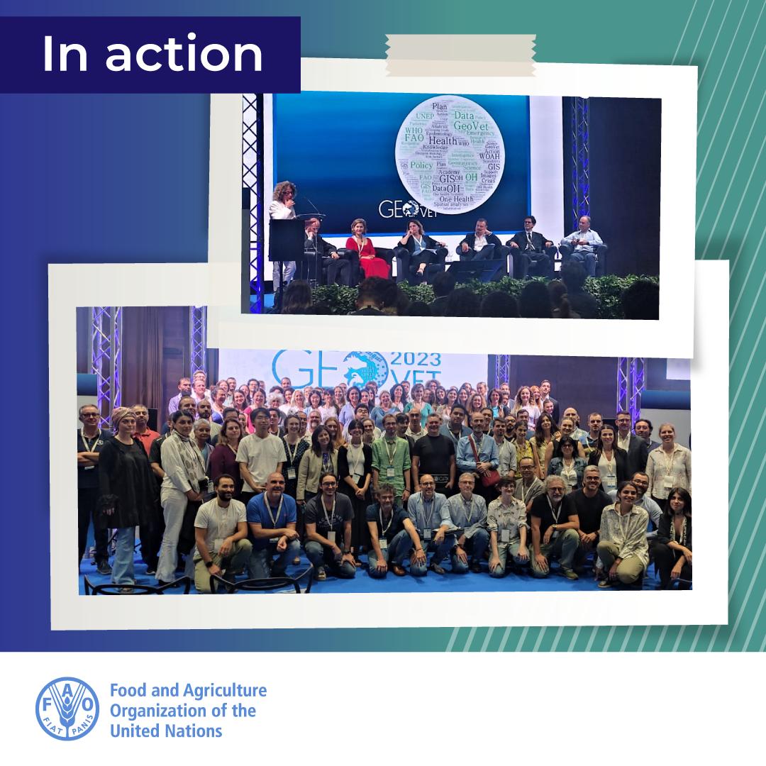 Science is a catalyst for change in #OneHealth.

<a href="/FAO/">Food and Agriculture Organization</a> had the privilege of attending the International Conference of Spatial Epidemiology, Geostatistics, and GIS for #animalhealth, public health and #foodsafety.

Together, we're advancing global well-being through GeoVet science.