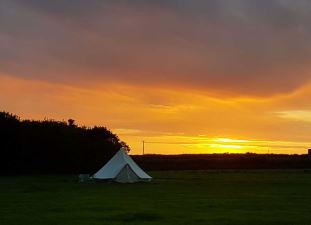 WeAcceptPets's tweet photo. Farmer Phil's Campsite in Launcells is the ideal destination. Nestled in stunning countryside just 5 minutes from Bude, it's the ultimate relaxation spot.
πΆ Welcomes dogs and small pets πΎ
https://t.co/iEYGhKvJJl
#CornwallCamping #RuralRetreat #Bude #FarmLife #BeachBound https://t.co/Lg4npKWjf9