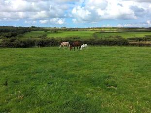 WeAcceptPets's tweet photo. Farmer Phil's Campsite in Launcells is the ideal destination. Nestled in stunning countryside just 5 minutes from Bude, it's the ultimate relaxation spot.
πΆ Welcomes dogs and small pets πΎ
https://t.co/iEYGhKvJJl
#CornwallCamping #RuralRetreat #Bude #FarmLife #BeachBound https://t.co/Lg4npKWjf9